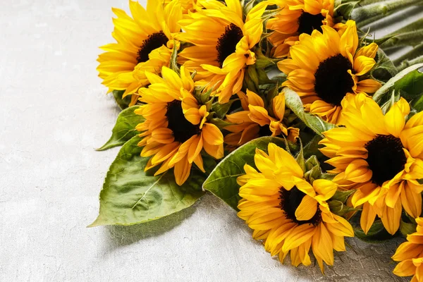 Sunflowers on a gray stone background — Stock Photo, Image