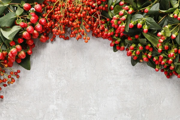 Hypericum, rosa canina och rowan bär på grå sten — Stockfoto