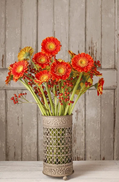 Bouquet of orange gerbera daisies — Stock Photo, Image