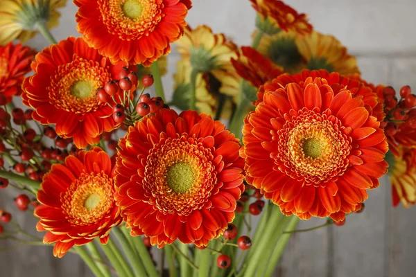 Ramo de margaritas gerberas naranjas — Foto de Stock