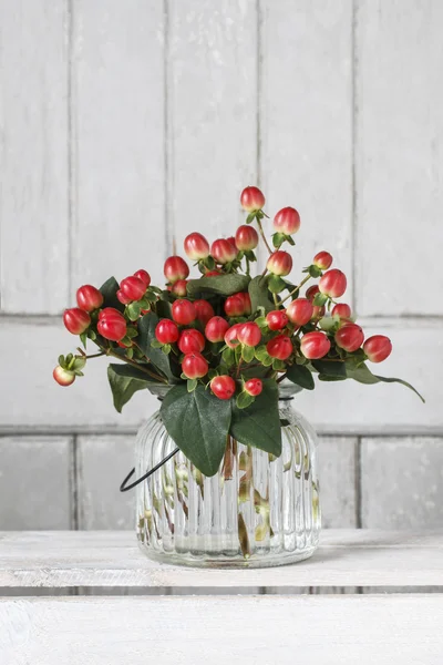 Bouquet of hypericum plants (twigs with red berries) — Stock Photo, Image