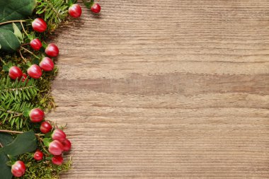 Ahşap arka plan üzerinde yosun ve hypericum bitki, 