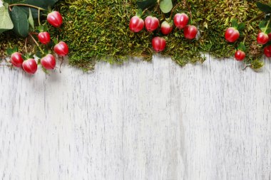 Ahşap arka plan üzerinde yosun ve hypericum bitki, 