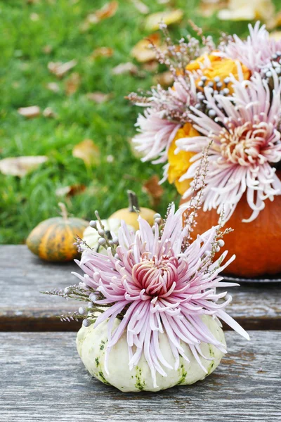 호박에 꽃의 꽃다발 — 스톡 사진