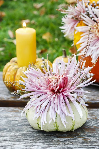 Bouquet di fiori di zucca — Foto Stock