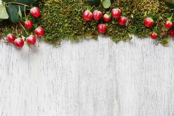 Moss e hipericum planta em fundo de madeira , — Fotografia de Stock