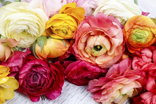 Ranunculus flores, papel pintado —  Fotos de Stock