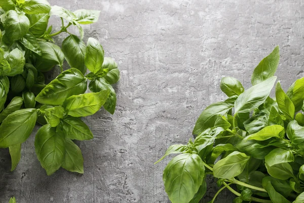 Basilika blad på sten bakgrund — Stockfoto