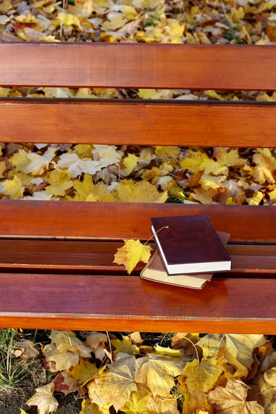 Books on a bench — Stock Photo, Image