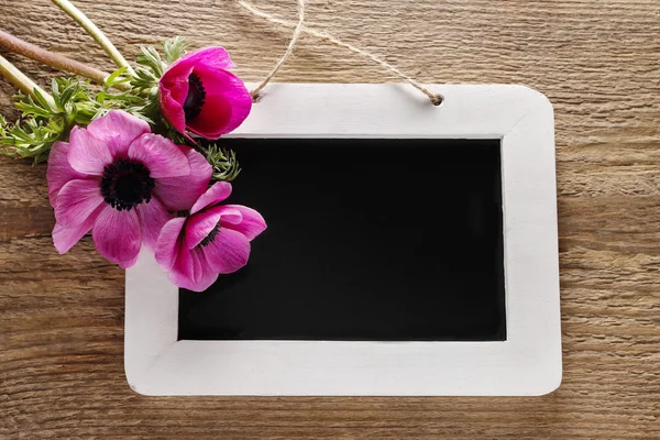 Anemone flower and blackboard, springtime background — Stock Photo, Image