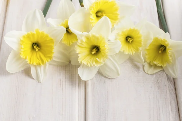 Yellow daffodils on wooden background — Stock Photo, Image