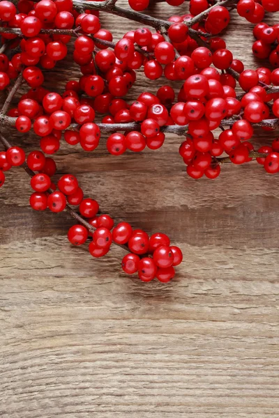 Ilex verticillata (winterberry) su tavolo di legno — Foto Stock