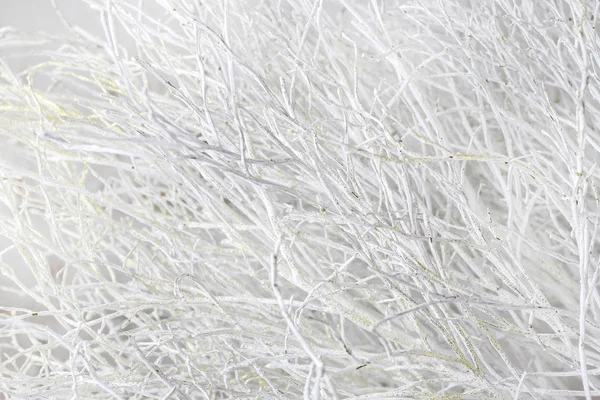 Winter abstract background with white frosted twigs — Stock Photo, Image