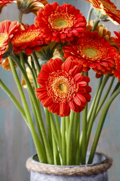 Boeket van Oranje gerbera madeliefjes — Stockfoto