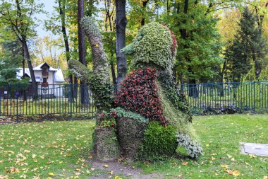 Szczawnica, Polonya - 19 Ekim 2015: Çiçeklik şeklinde