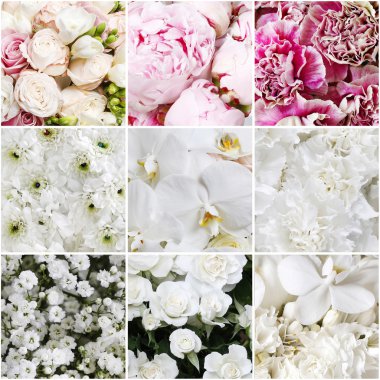 Collage with white and pink flowers clipart