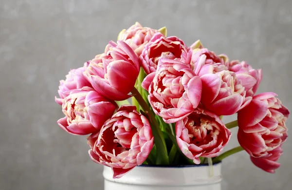 ช่อดอกทิวลิปสีชมพู — ภาพถ่ายสต็อก