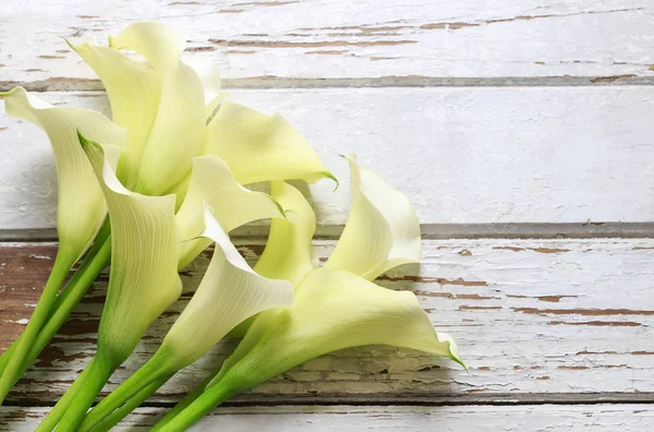 Strauß weißer Calla-Blüten (zantedeschia) auf weißem Holz — Stockfoto