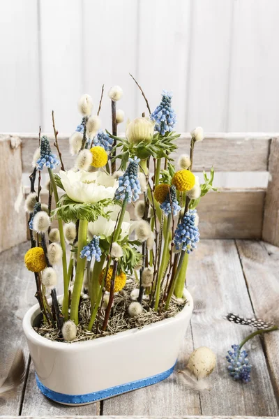 Klomb z anemony i hiacynty winogron (musca niebieski — Zdjęcie stockowe