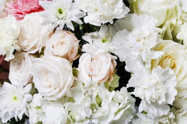 Gül, beyaz Karanfil ve Kasımpatı çiçek arka plan