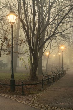 Eski Park puslu akşam