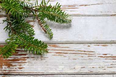 köknar dalı ahşap zemin üzerinde