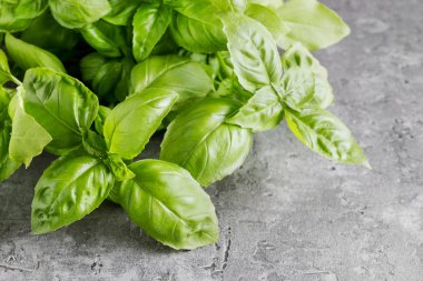 Taş zemin üzerine fesleğen yaprağı