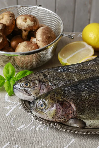 Two rainbow trouts — Stock Photo, Image