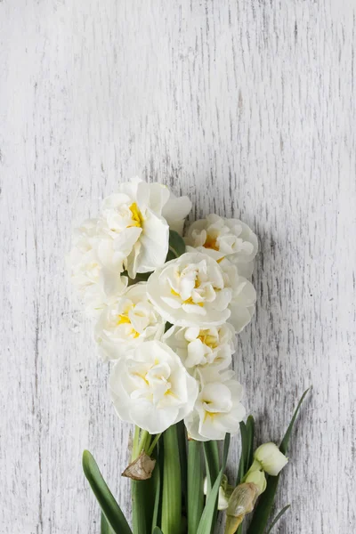 Witte narcissus bloemen op houten achtergrond — Stockfoto