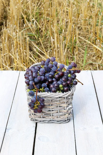 Korb mit Trauben — Stockfoto