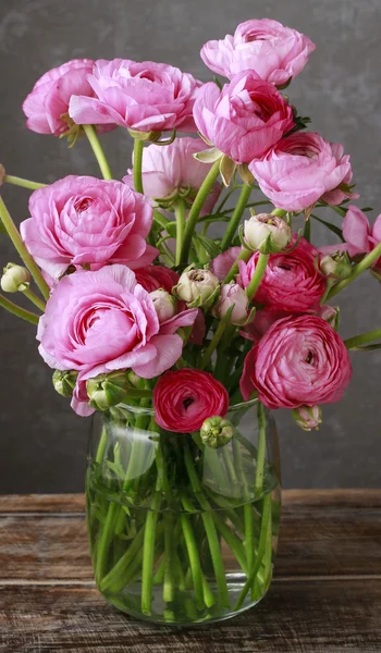 Różowe kwiaty Perski Jaskier (ranunculus) — Zdjęcie stockowe