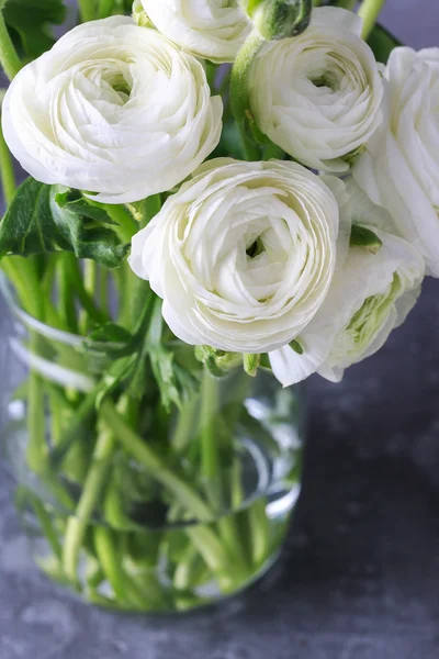 Weiße persische Ranunkelblüten (Hahnenfuß)) — Stockfoto