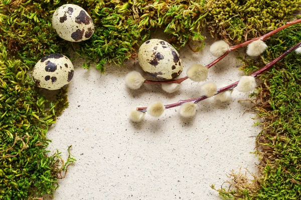 イースターの背景にモス、卵、尾状花序 — ストック写真