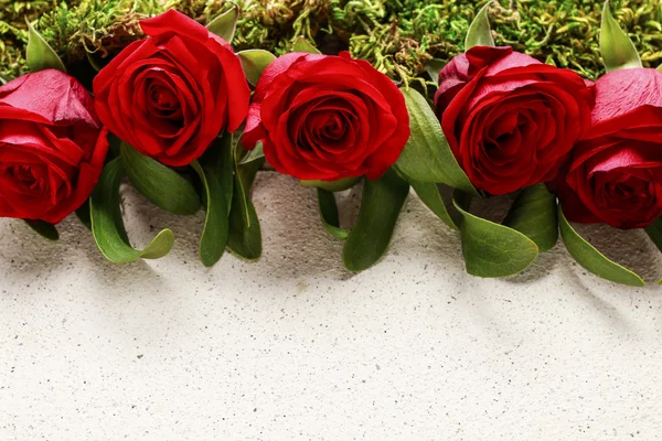 Rosas rojas, muérdago, musgo y hoja de papel en blanco —  Fotos de Stock