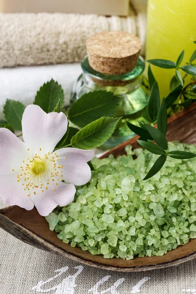 Bowl of green sea salt and rosa canina flower — Stock Photo, Image