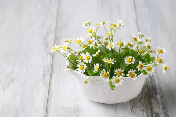 Floral arrangement with chamomile flowers — Stock Photo, Image