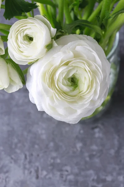 Boeket van witte Boterbloem bloemen (Perzisch buttercup bloemen) — Stockfoto