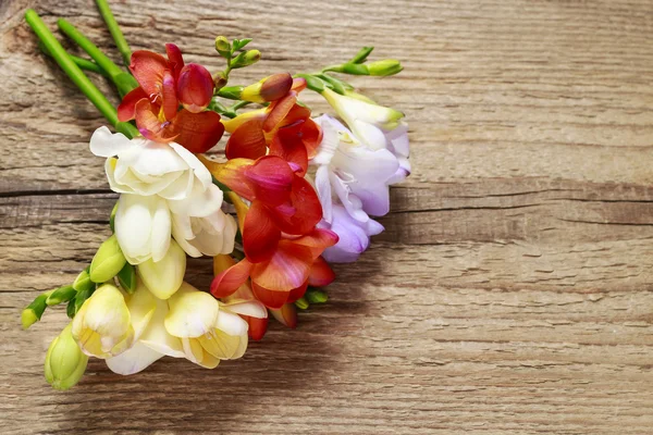 Fiori fresia colorati su sfondo di legno — Foto Stock