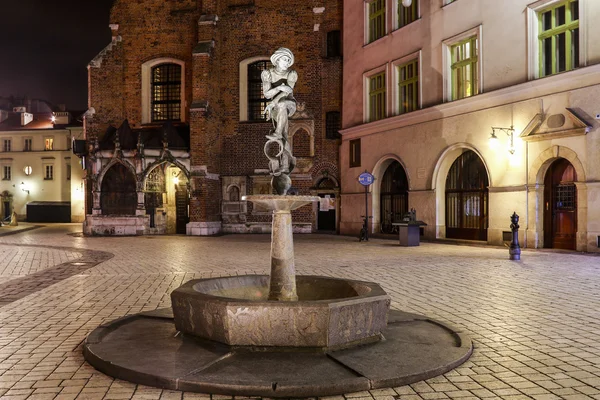 Public fountains of Krakow. Fou — Stock Photo, Image