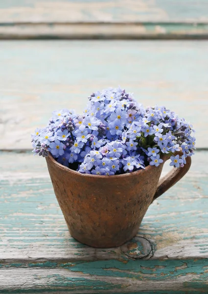 Esqueça-me-não flores (Myosotis) em jarro cerâmico — Fotografia de Stock