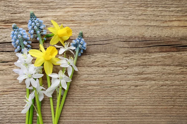 Fiori primaverili su legno — Foto Stock