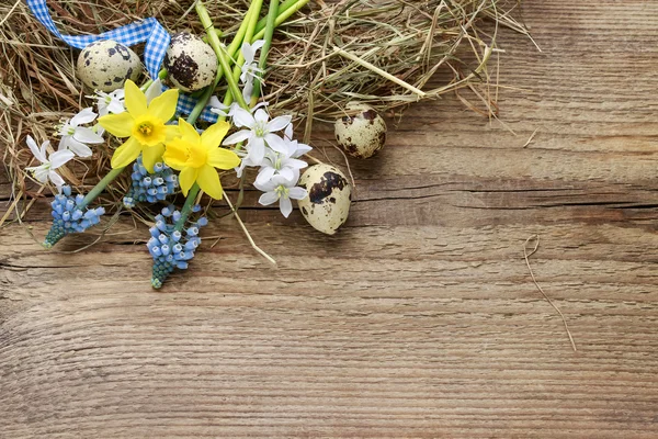 Osterdekorationen mit Frühlingsblumen, Wachteleiern und Heu — Stockfoto