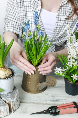 Bahar çiçekleri ile çalışan kadın
