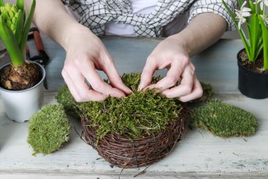 İş yerinde çiçekçi: nasıl çelenk moss ile yapmak. öğretici.