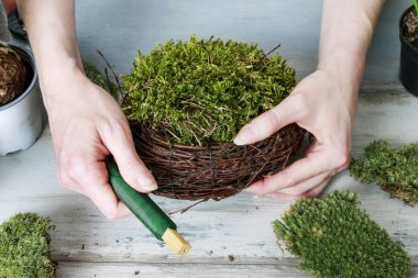 İş yerinde çiçekçi: nasıl çelenk moss ile yapmak. öğretici.