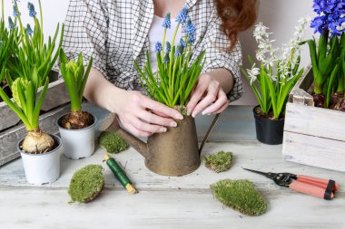 Bahar çiçekleri ile çalışan kadın