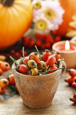 Kuşburnu, çiçek ve kabak pot