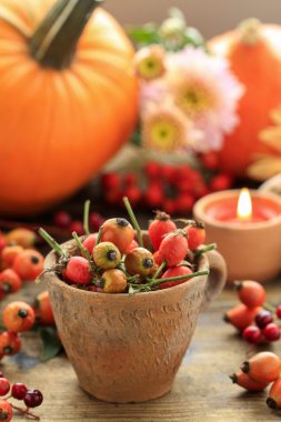 Kuşburnu, çiçek ve kabak pot