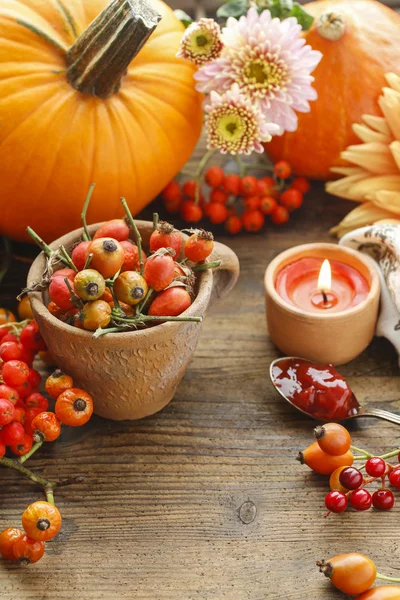 Pot of rose hip, flowers and pumpkins — Stock Photo, Image