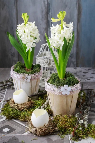Decoratie met witte hyacinten — Stockfoto